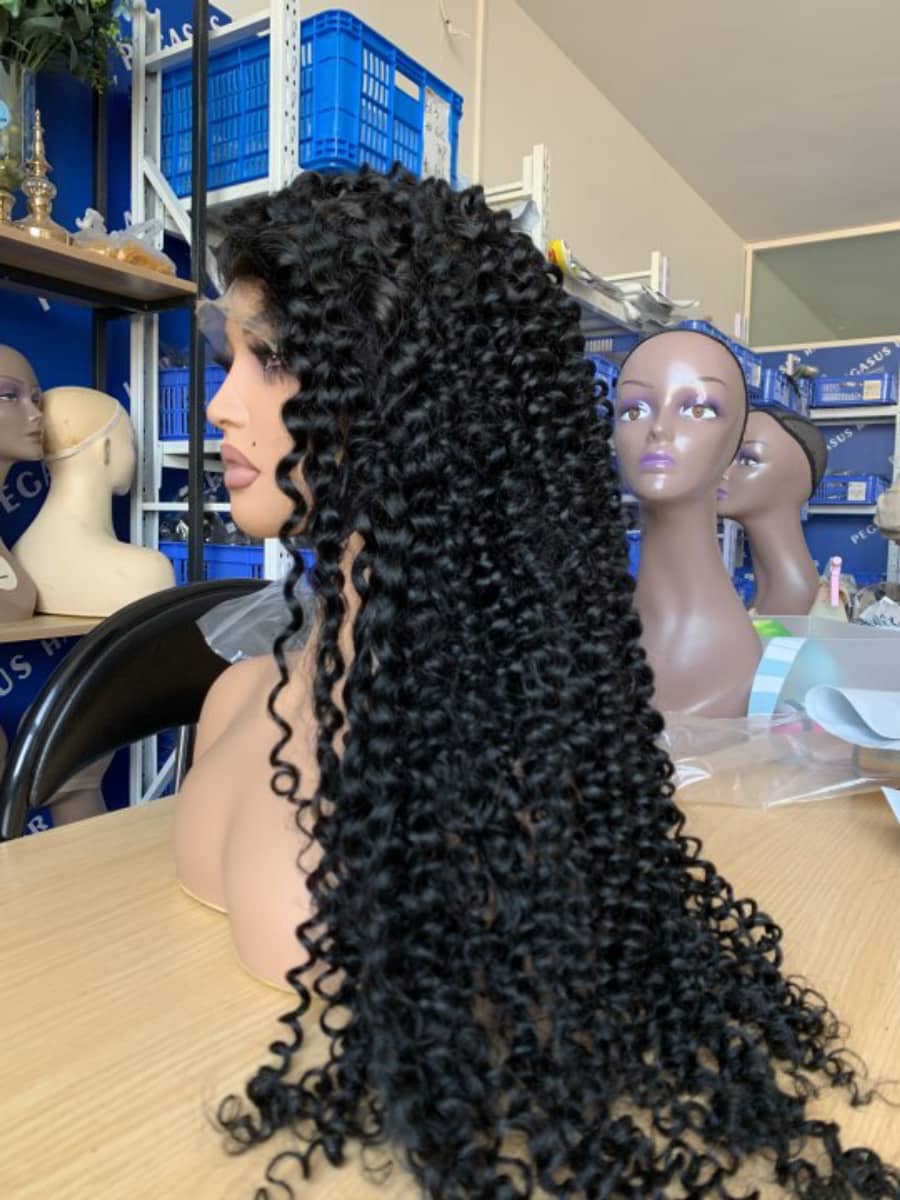NEW QUEEN BOUNCY CURLY 13X4 13x6 Undetectable HD Lace  Frontal Wig - pegasuswholesale