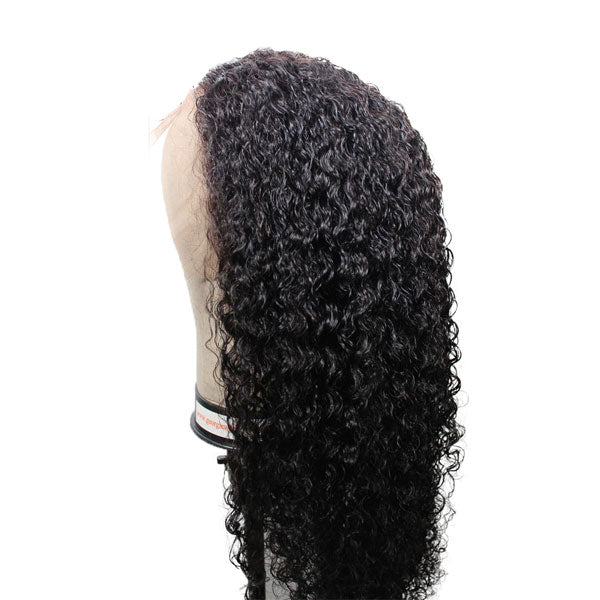 Spanish Curly 13x6 Lace Wig - 【PWH5301】 - pegasuswholesale