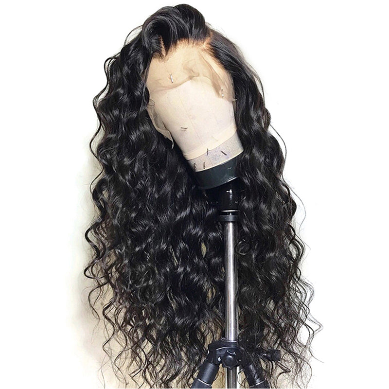 Loose Wave Wigs Brazilian Human Hair (Full Lace/360 Lace/13x4/13x6 Lace Wig) - pegasuswholesale