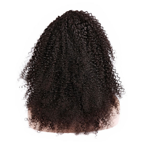 Afro Kinky Curly 13x6 Lace Wig - 【PWH6504】 - pegasuswholesale