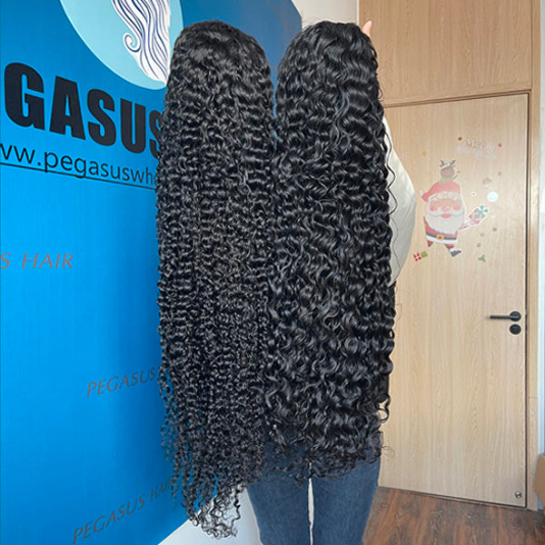 (HD Lace / Regular Lace) 4*4 13*4 Wig Burmese curly Human Hair 【PWH6699】 - pegasuswholesale