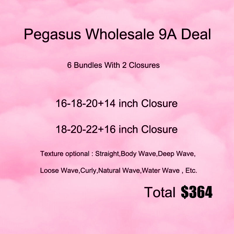 Deal 6 Bundles With 2 Closure 9A Human Hair - pegasuswholesale