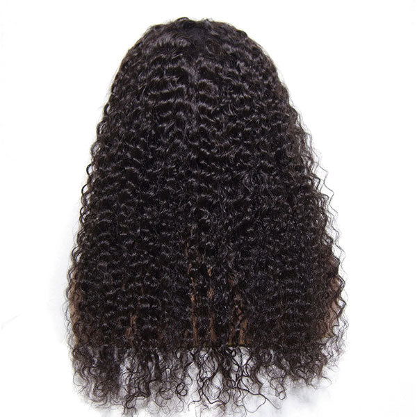Indian curly 4x4 Closure Wig, HD Lace Wig - 【PWH6193】 - pegasuswholesale
